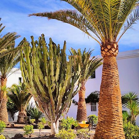 Flor De Las Dunas Pools Wifi Tennis Bikes For Free Κοραλέχο Εξωτερικό φωτογραφία